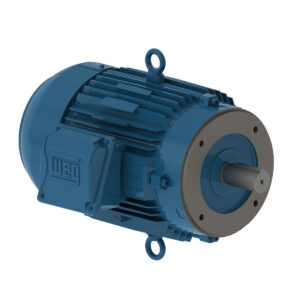 Motor 2 Cv Cdin 4 Ir3 220/380v Weg 13351363